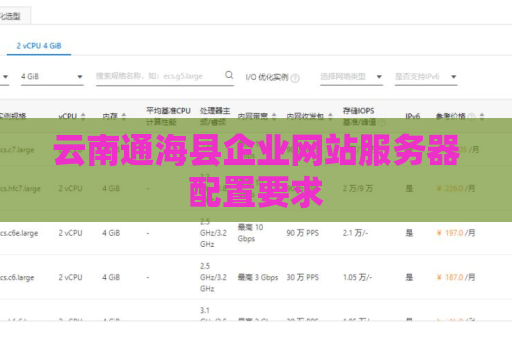 云南通海县企业网站服务器配置要求