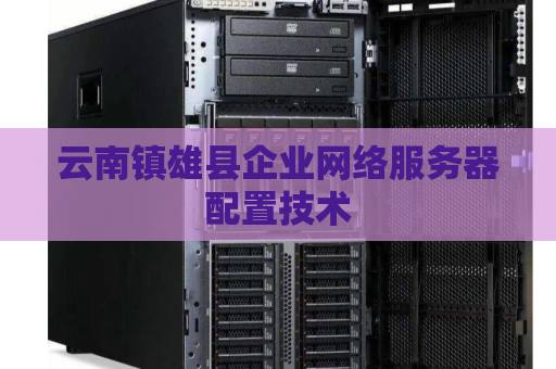 云南镇雄县企业网络服务器配置技术
