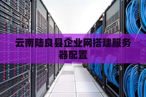 云南陆良县企业网搭建服务器配置