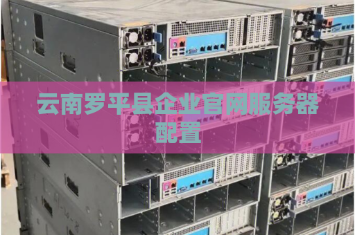 云南罗平县企业官网服务器配置