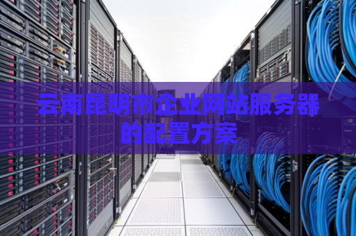 云南昆明市企业网站服务器的配置方案