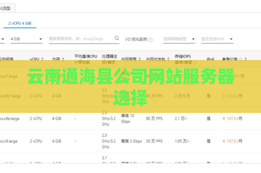 云南通海县公司网站服务器选择