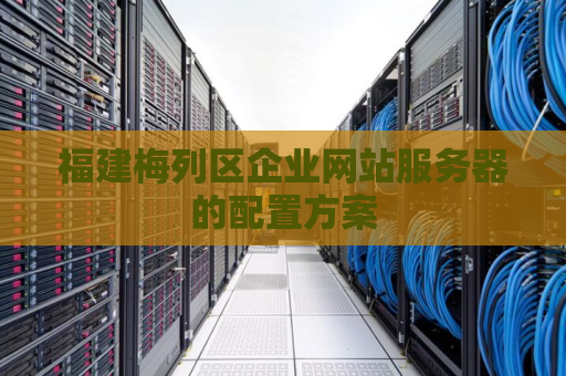 福建梅列区企业网站服务器的配置方案