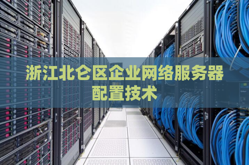 浙江北仑区企业网络服务器配置技术