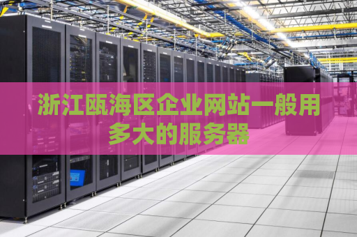 浙江瓯海区企业网站一般用多大的服务器