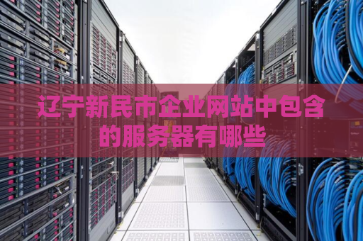 辽宁新民市企业网站中包含的服务器有哪些